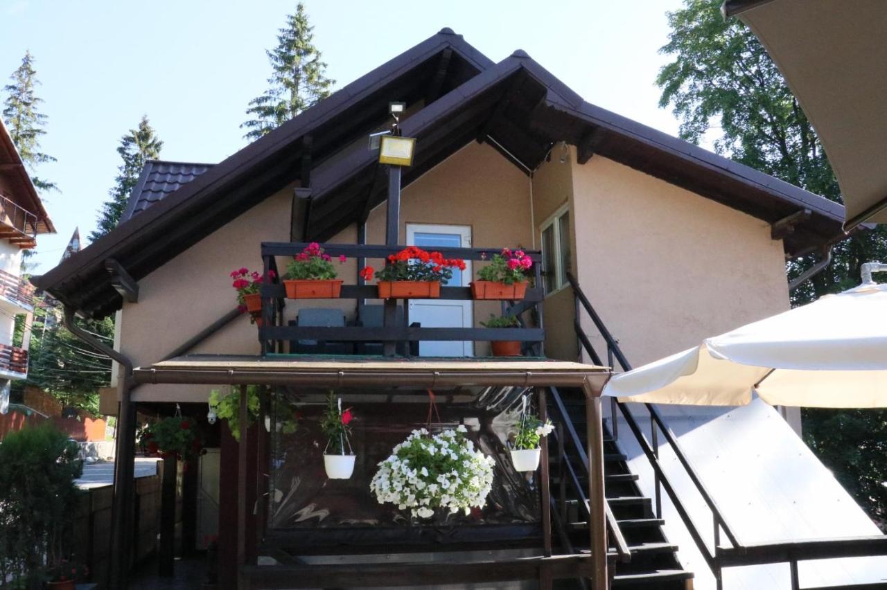 Casa Anne Marie Otel Sinaia Dış mekan fotoğraf