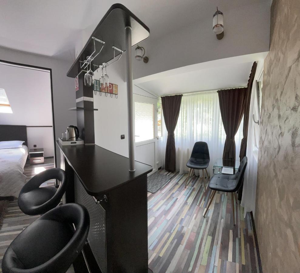 Casa Anne Marie Otel Sinaia Dış mekan fotoğraf